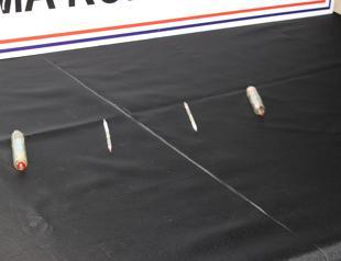 Three detained over cobra venom smuggling in Turkey’s Bilecik