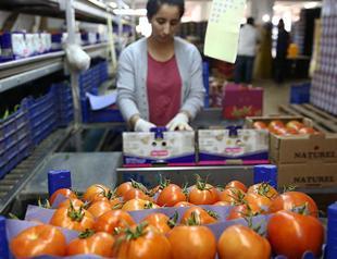 Russia to allow tomato imports from two more Turkish firms from March 29