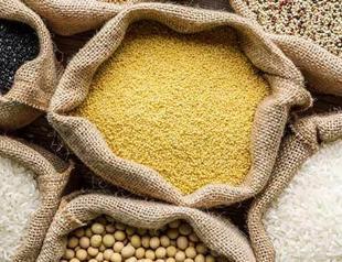 Euro bank boosts leading Turkish agricultural firm