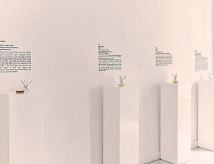 ‘The Art of Scent’ at Teşvikiye Gallery