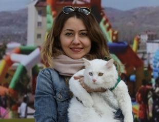 Van cats compete in beauty contest