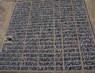 Car firms call on Trump to keep emission limits