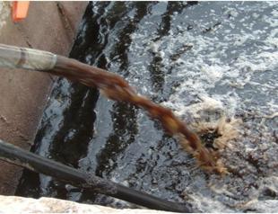 Project to produce industrial products from olive mill wastewater gets EU support