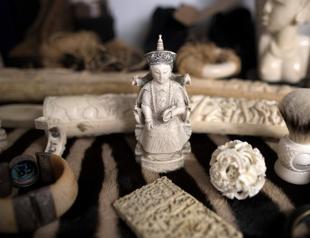 Britain to ban ivory sales