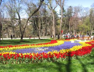 Tulip Festival kicks off in Istanbul