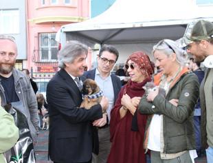 Cihangir’s stray animals find new homes