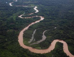 Rivers worldwide threatened by pharma waste: studies