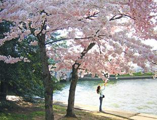 Fifty shades of pink and purple