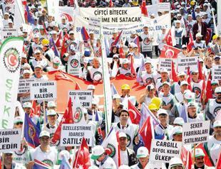 Turkey holds auctions for three more sugar factories