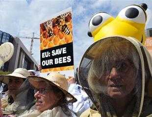 EU to ban bee-killing pesticides