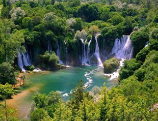 Plant species in Turkey being driven to extinction by expanding settlements