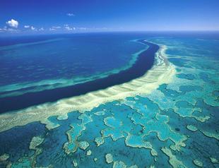 Australia announces $379 million funding for Great Barrier Reef