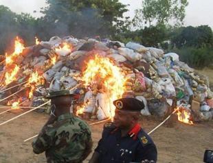 Nigeria bans codeine cough syrups over addiction fears