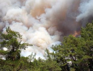 Forest fire in Marmaris ignited by three children