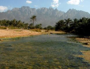 Yemen slams UAE troop dispatch on Socotra island