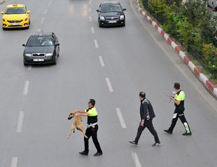 Police officers praised for helping dog cross road in Antalya in Turkey’s south