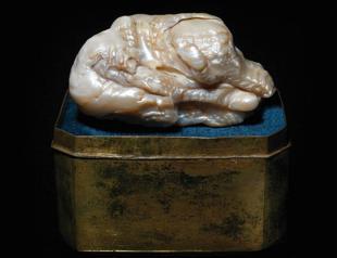 Worlds largest freshwater pearl to sell at Dutch auction