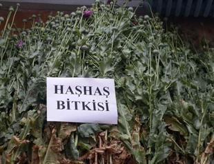 Over a ton of hashish seized in Turkey’s southeast