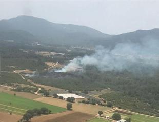 At least two decares of forestry destroyed in fire in western Turkey