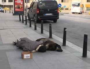 Homeless man and dog hugging on the pavement in Taksim touch hearts
