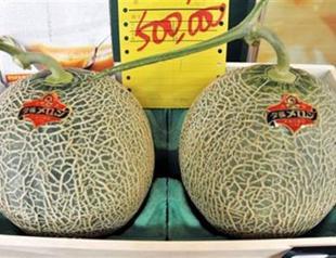 Pair of Japanese premium melons sell for record $29,300