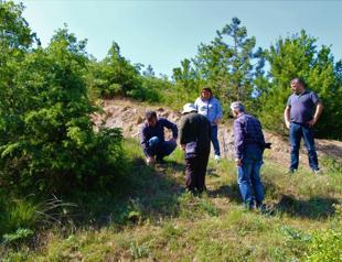 Rare plant rediscovered in Turkey’s Amasya after 24 years