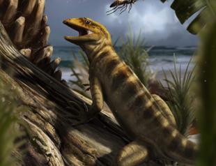 The mother of all lizards found in Italian Alps