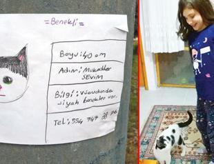 Lost cat ‘Spotty’ found by another cat