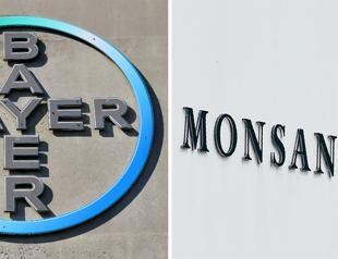Bayer to ditch Monsanto name after mega-merger