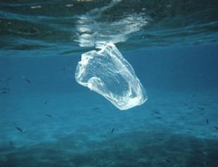 Plastic in the ocean