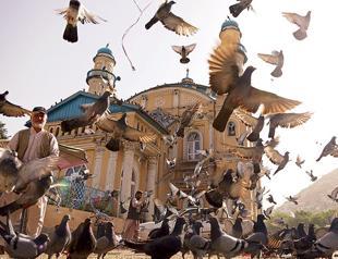 Taliban agrees to unprecedented Eid ceasefire with Afghan forces