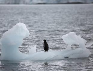Antarcticas ice sheet is melting three times faster than before