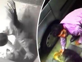 Another man detained in Istanbul over violence against stray dog