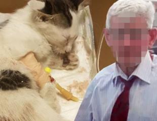 Anger swells over new attacks on kittens in Turkey