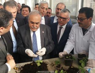 Dark hands behind skyrocketing potato prices, Turkey’s Agriculture Minister says