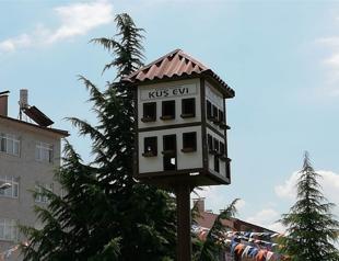 Birdhouses in Safranbolu