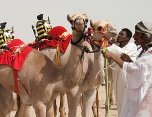 Qatari businessman gives away three cars to celebrate Erdoğan’s election victory