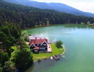 Construction begins in Gölcük National Park in Turkey’s Bolu despite protests