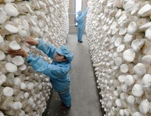 China eases investment curbs as clash with US looms