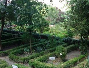 University asked to evict Istanbul’s sole botanical garden