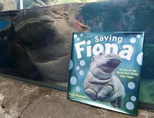 Famed baby hippo an educational force