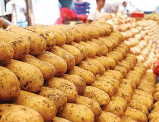 Potato: Onion parity