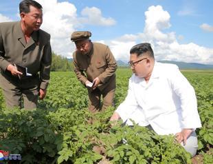 Did N. Korea’s Kim put potatoes over Pompeo