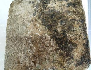 Ancient tablet of Odyssey epic discovered in Greece