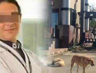 Protest held against Turkish professor who stabbed stray dog for killing pet cat