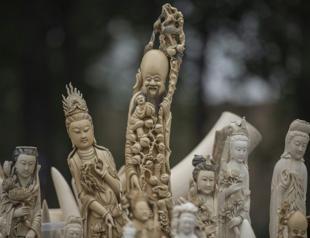 China seizes 156 mammoth tusks in huge ivory haul