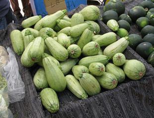 Cucurbits are a summer lifesaver