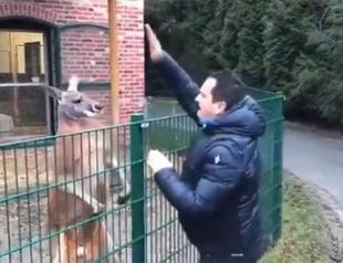 Turkish televangelist stirs public outcry for abusing kangaroo