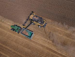 Heatwave ravages European fields, sending wheat prices soaring