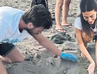 Turkish TV series actors rescue baby sea turtles